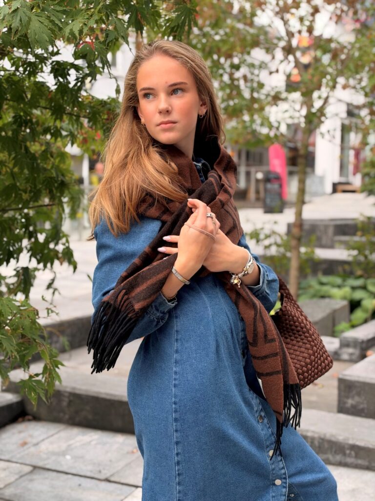 Visol pleat midi denim dress
