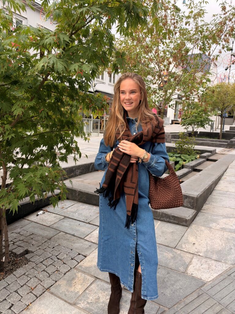 Visol pleat midi denim dress